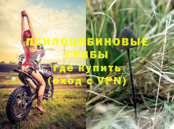 таблы Алзамай